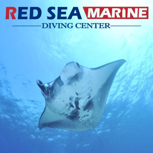 RED SEA MARINE DIVING CENTER