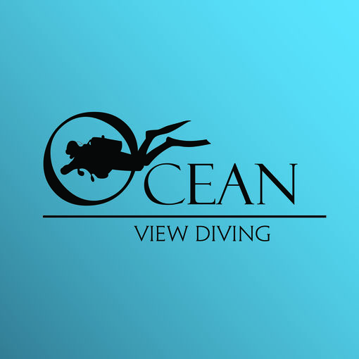 Ocean view diving 